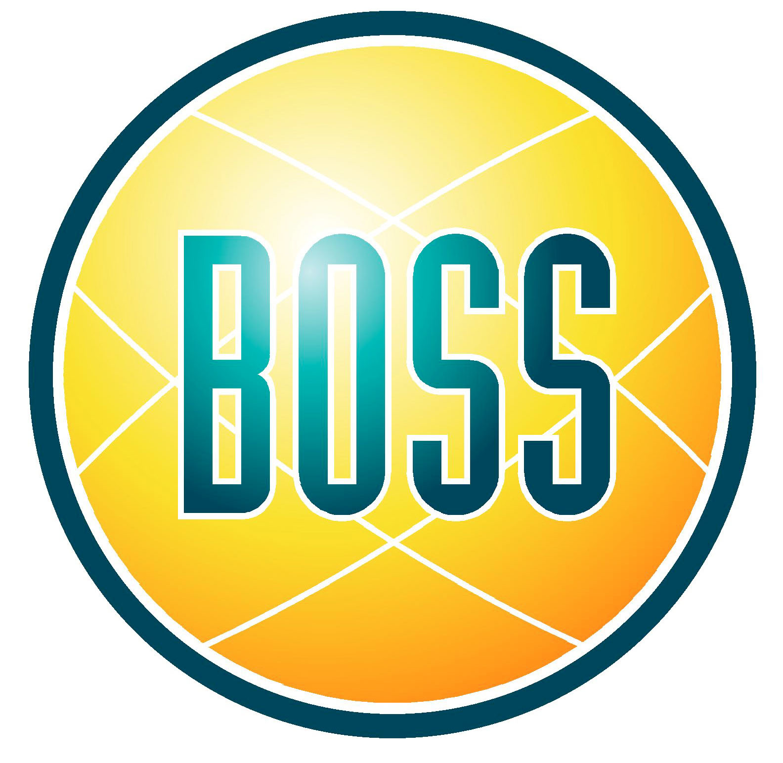 The Boss Images